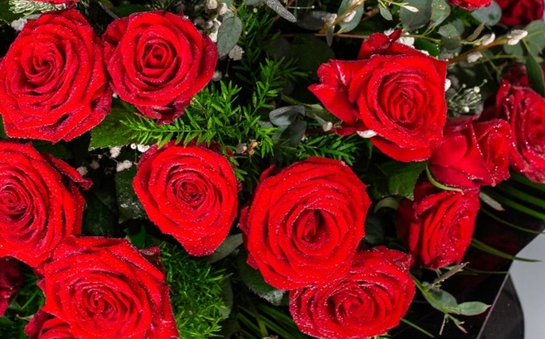 12 Red Roses