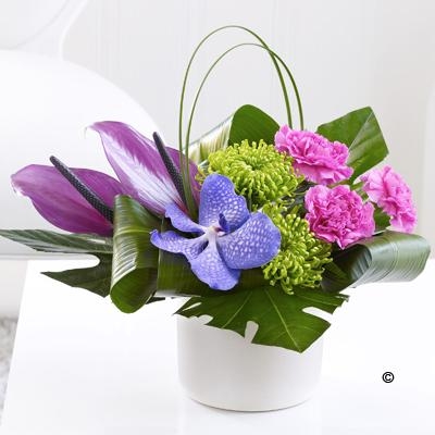Carnation, Vanda Orchid and Anthurium Arrangement *