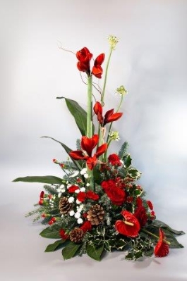 Amaryllis Star Table Arrangement